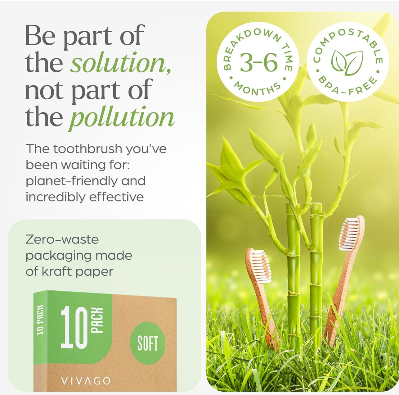 Bamboo Toothbrush